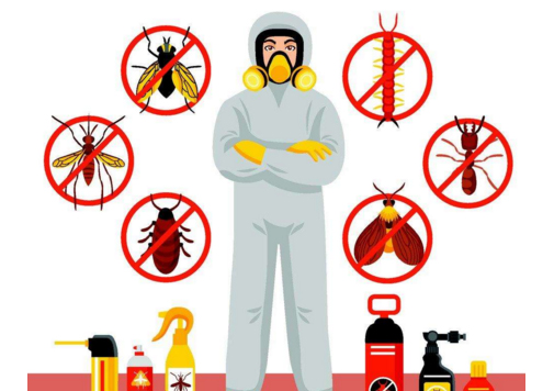 專業(yè)殺蟲服務(wù)